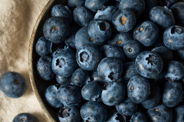 Raw Blue Organic Blueberries