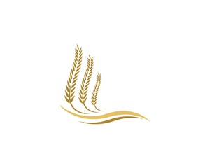 Fototapeta premium Wheat logo template