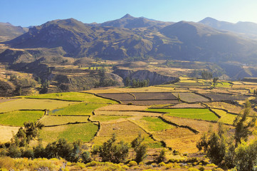 Colca Canyon, Peru,South America. One of the deepest canyons in the world.