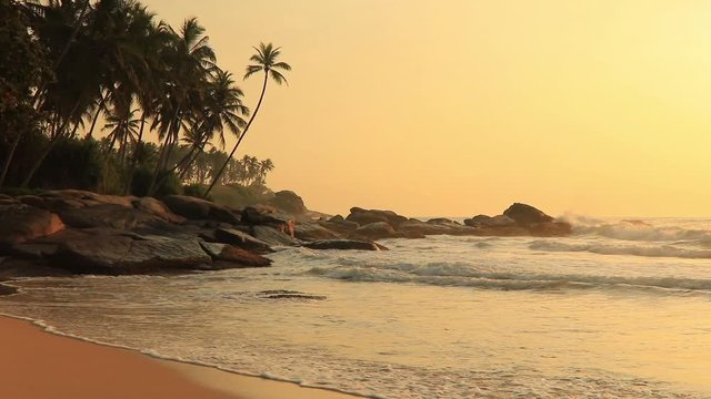 Beautiful sunset on the beach with palms on a Caribbean island