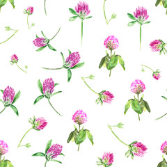 Watercolor clover isolated on white. Gentle seamless pattern with blooming pink clover. Cute botanical wallpaper in Provence style.