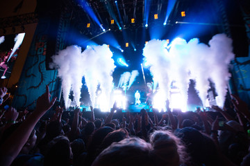 crowd at the concert