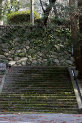 神社の階段