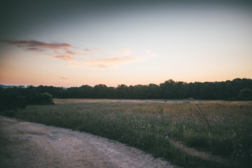 Sonnenuntergang auf dem Land - Ruhige Szene in der Natur
