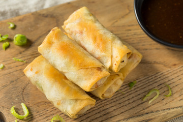 Homemade Fried Vegetable Egg Rolls