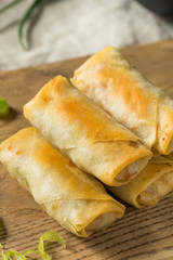 Homemade Fried Vegetable Egg Rolls