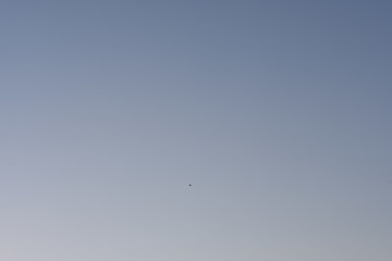 un gran cielo azul y un pequeño pajaro volando