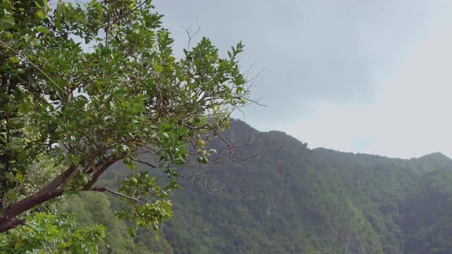 Scenic footage from Mount Tabac on the island of St. Lucia.