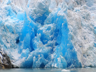 Tracy Arm's Fjord Glacier Terror Wildlife. Southeastern Alaska,