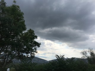 Obraz premium tree in mountains