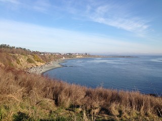 Coastline with grasses, British Columbia