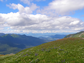 Fototapeta na wymiar Nature in Alaska in summer in the city of Juneau