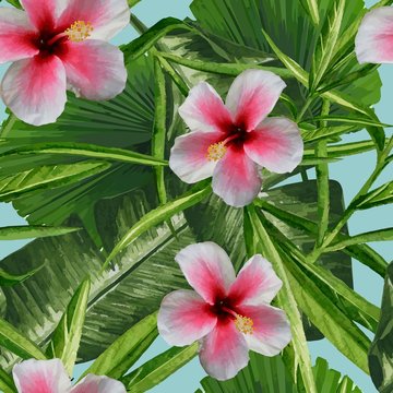 Tropical Dreams - Pink Hibiscus
