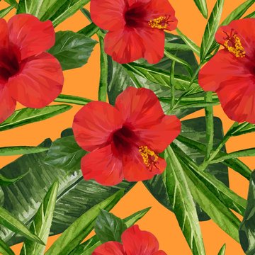 Tropical Dreams - Red Hibiscus