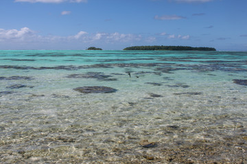 Fototapeta na wymiar blue turquoise sea at Polynesia