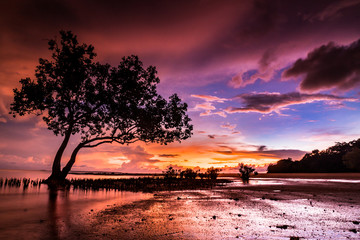 Sunset, Eastpoint, Darwin, NT, Australia