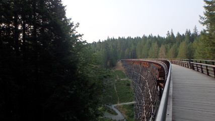 Old wooden railway trestle in forest (Kinsol Trestle, British Columbia)