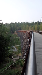 Old wooden railway trestle in forest (Kinsol Trestle, British Columbia)