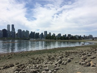 Skyline in Vancouver, BC with ocean