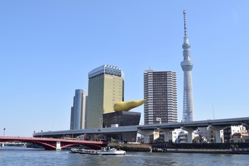 Fototapeta na wymiar Cityscape of Sumida ward, Tokyo, Japan