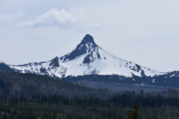 Fototapeta na wymiar Oregon mountains