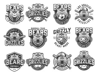 Vintage monochrome sport teams emblems set