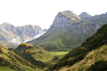 Fototapeta premium Dans les Pyrénées