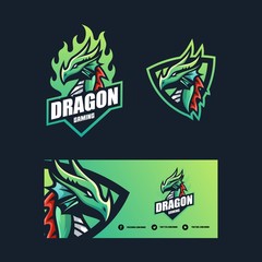 Dragon Concept illustration vector Design template