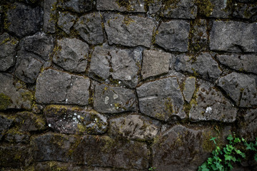 Mossy stone wall