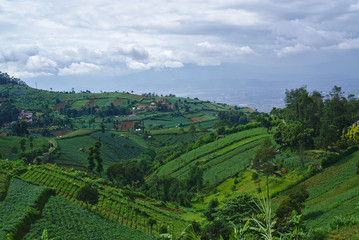 Obraz premium Landscape view of green hills and clouds