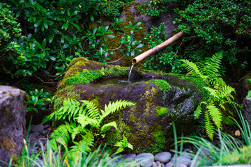 bamboo fountain 