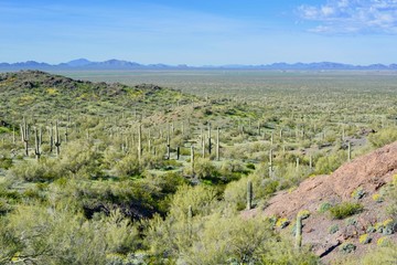 Fototapeta na wymiar Picacho Peak Spring Arizona State Park Desert