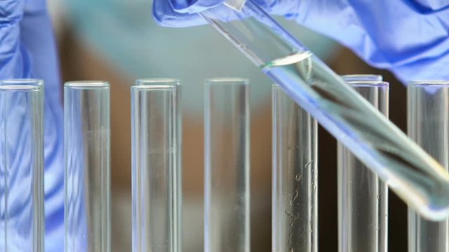 Ecologist putting litmus paper in test tube with water, checking pollution level