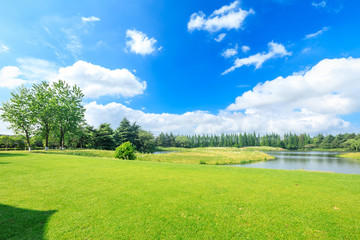Green grass and forest landscape in city park