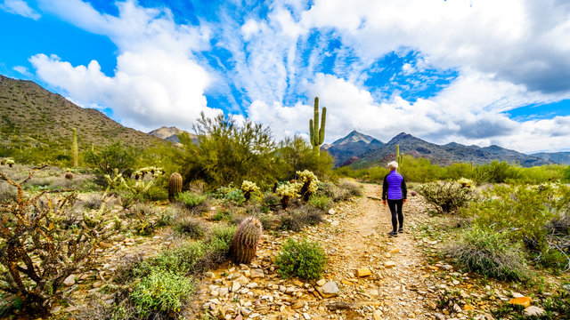 Senior Woman Hiking On The Levee Trail In McDowell Sonaran Preserve Near Scottsdale, Arizona, United States Of America