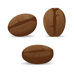 Roasted coffee beans