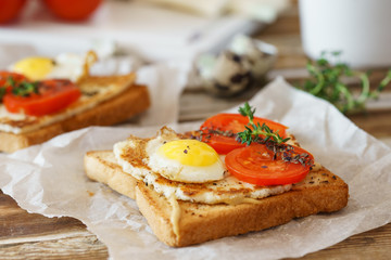 Fototapeta na wymiar Sandwich with fried egg, tomato and fried cheese.