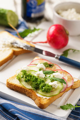 Vegetarian sandwich with cucumber, radish and ricotta.