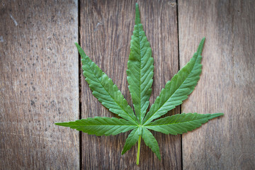 cannabis leaf on old wooden  texture background