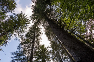 Plitvice Lakes National Park in Croatia