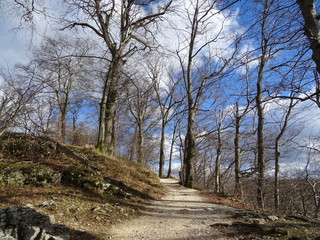 Wanderweg bei schönem Wetter