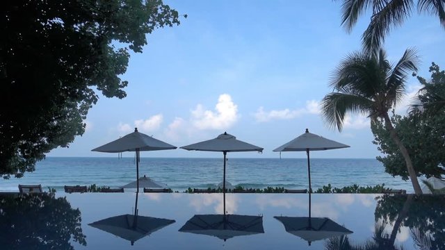 Beautiful view at the ocean in the background thriugh palm trees with some parasols in the foreground.