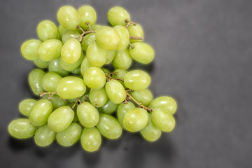 グリーンシードレス