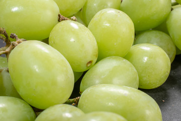 グリーンシードレス