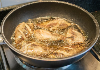 Pan frying fish using oil