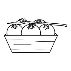 line drawing doodle of a box of tomatoes