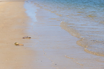 Empty beach shore with shallow water.