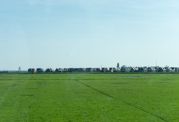 Fototapeta na wymiar Netherlands,Wetlands,Maarken, a herd of cattle grazing on a lush green field