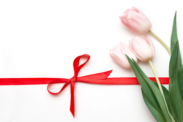 bouquet of tulips on white background with red ribbon tied in bow