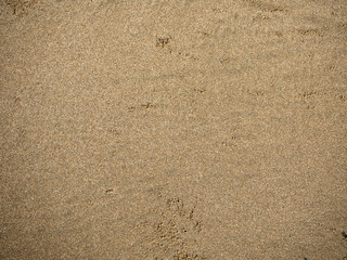 Patterns Texture of sand on the beach